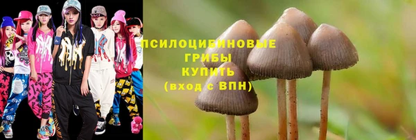 таблы Новокубанск