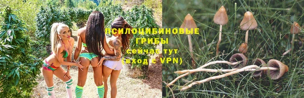 дживик Новозыбков