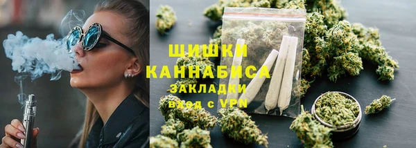 дживик Новозыбков