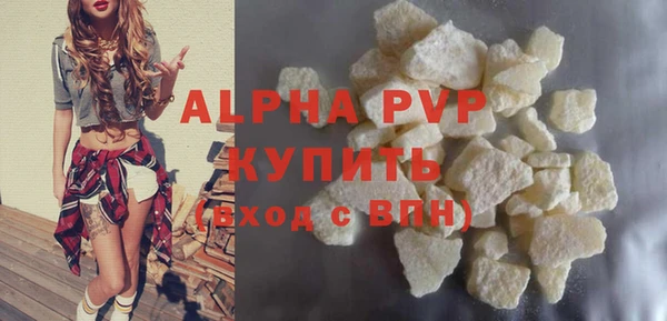 дживик Новозыбков